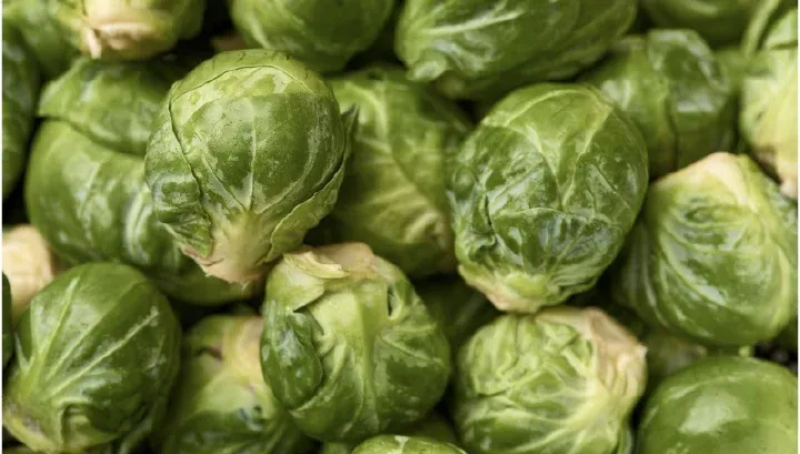  brussel sproutsthanksgiving potluck recipe - 