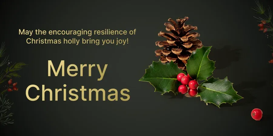 Merry Christmas Message To A Colleague