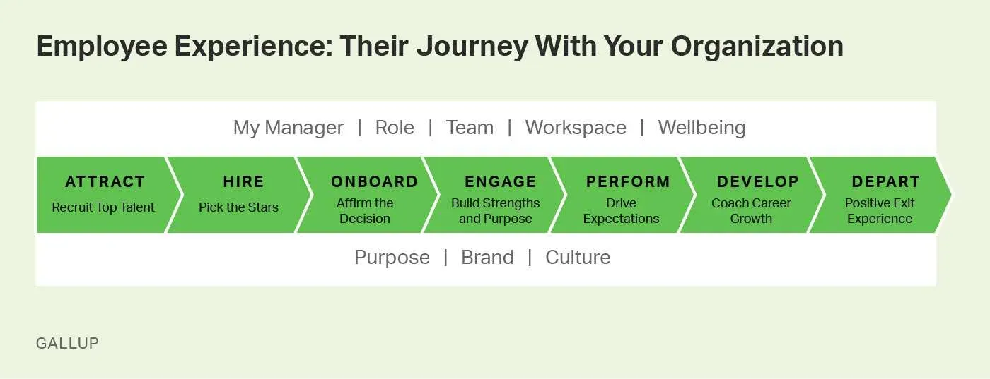 Employee Experience: Their Journey with your Organization