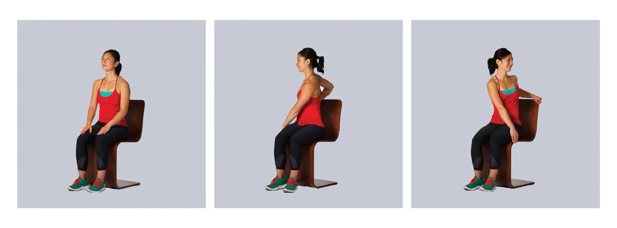 Seated torso twist