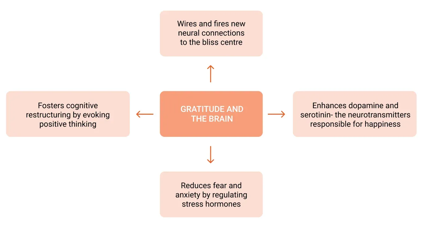 gratitude and the brain