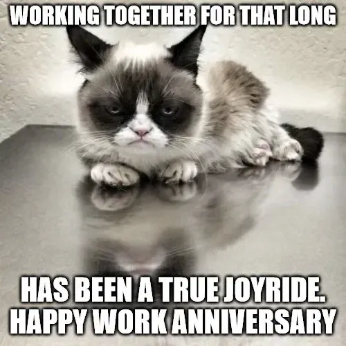 work anniversary meme