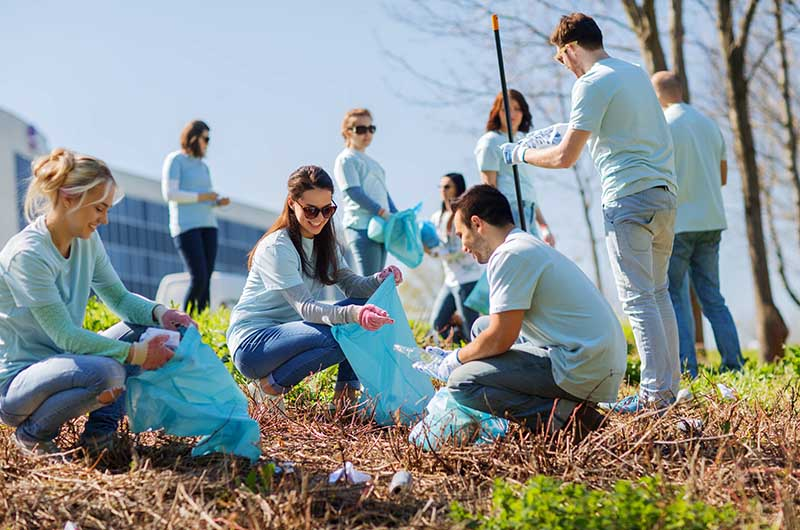 Office Volunteering activities