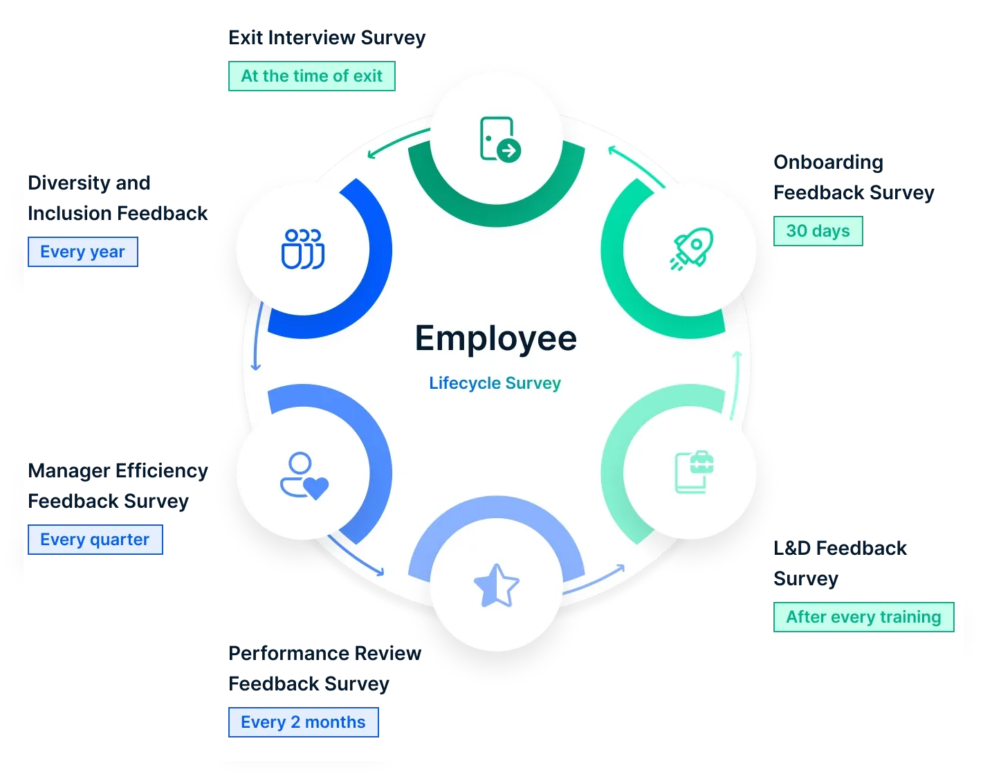 Employee life cycle survey